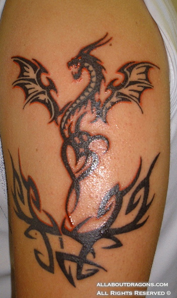 0003-Tribal-Dragon-Tattoo-2.jpg