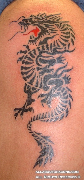0011-Dragon-Tattoo-Tribal-2.jpg