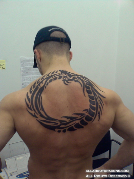 0015-Tribal-Dragon-Tattoo1.jpg