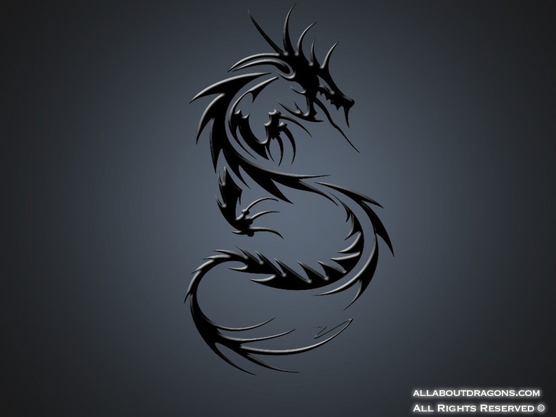 0016-Tattoo-tribal-dragon-6889.jpg