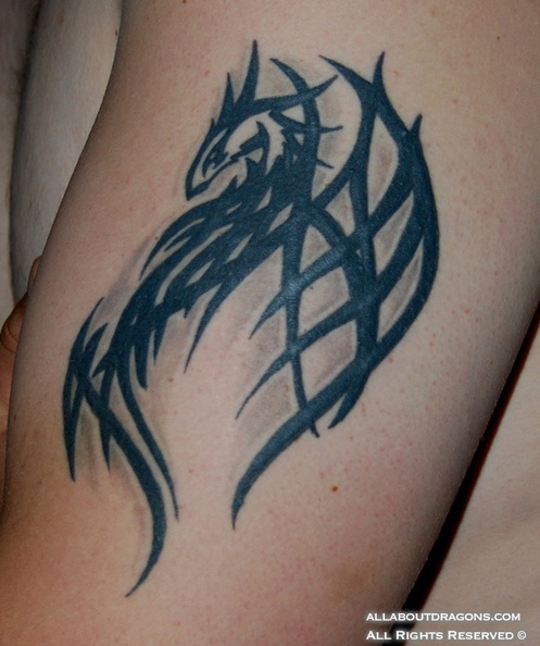 0020-Tribal-Dragon-Tattoo.jpg