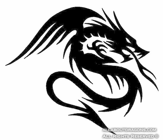 0048-arrow-dragon.jpg