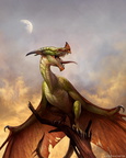 1623-dragon-wyvern_a