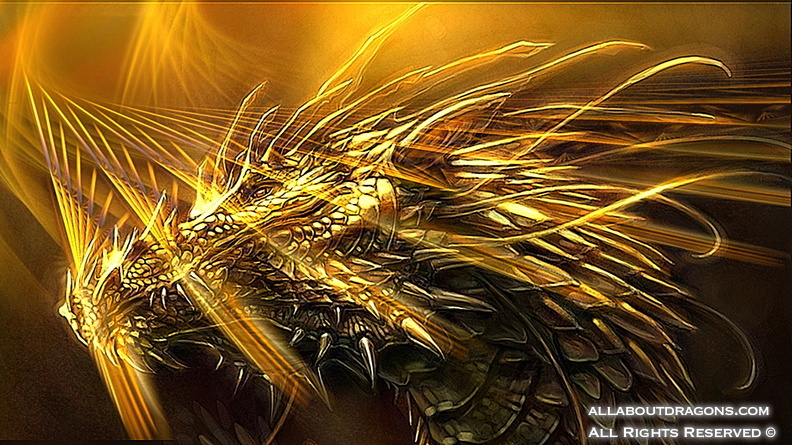0155-golden-western-dragon-beauty-bright-cool-golden.jpg