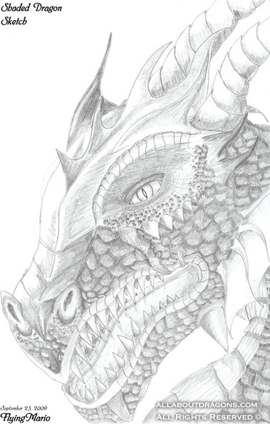 0284-Dragon_Shading_Sketch_001_by_FlyingMario.jpg