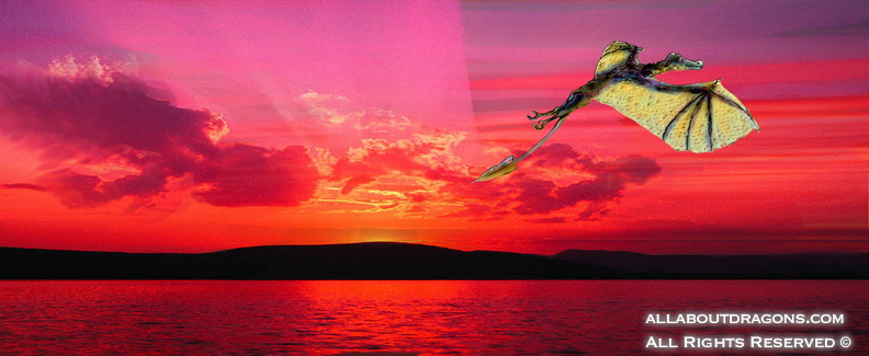 0372-Dragon_Flying_at_Sunset_by_robinhutton.jpg
