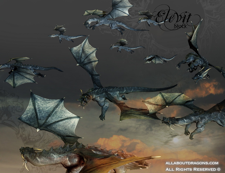 0020-E_S_Dragon_flying_by_Elevit_Stock.jpg