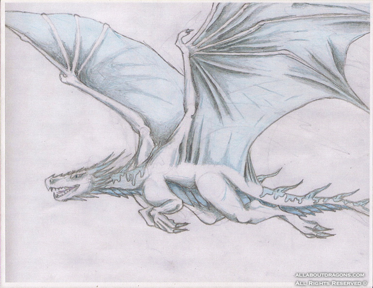 0536-Flying_Ice_dragon_collab_by_Ark_Noir.jpg