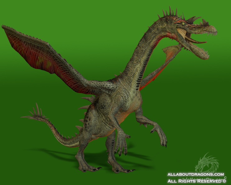 0538-pythius-dragon-3.jpg