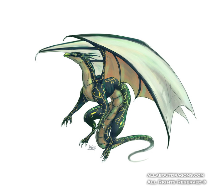 0385-Flying_Dragon_by_Fomle_chan.png