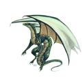 0385-Flying_Dragon_b