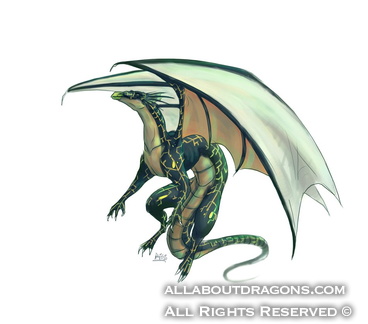 0385-Flying_Dragon_b