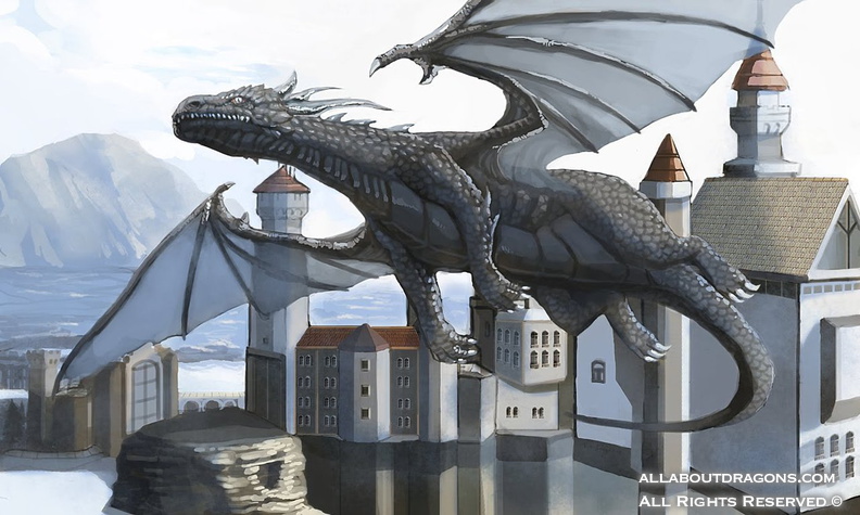 0070-A_Dragon_Flying_by_2oneart.jpg