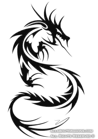 0002-tribal-dragon-tattoo-215365_0652.jpg