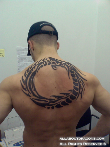 0070-tribal-dragon-back-tribal-tribe-tattoos-tattoo-designs-pictures-gallery6.jpg