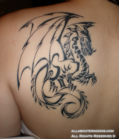 0109-2nd_tribal_dragon_tattoo.jpg