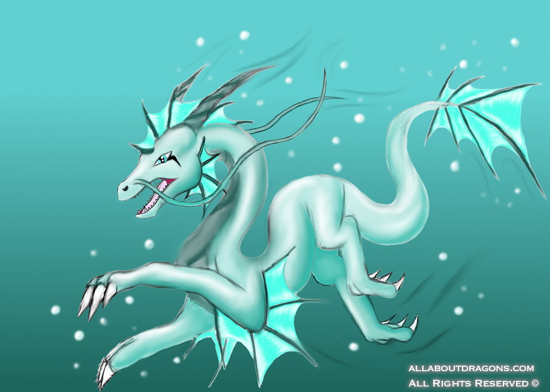 0003-water-dragon-water-dragons-9204997-2560-1829.jpg