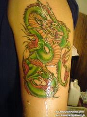0335-dragon_tattoo_b