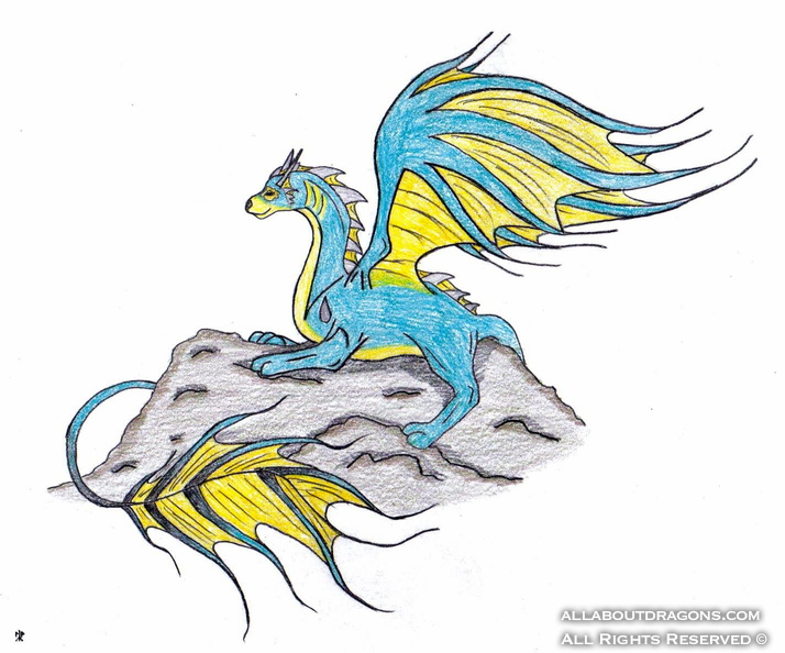 0382-water_dragon_on