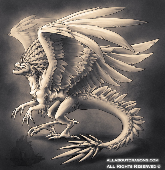 1532-dragon+flying-b
