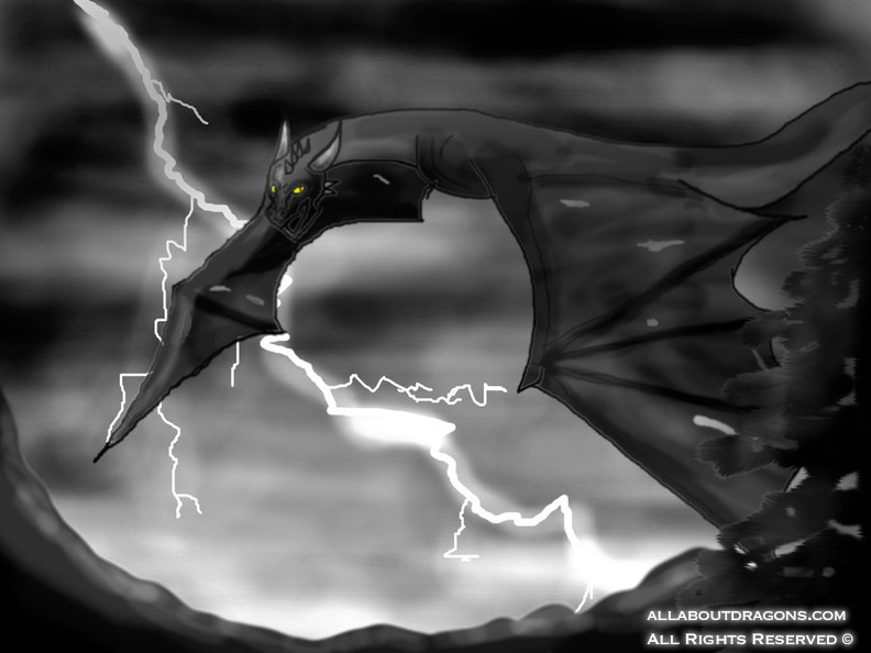 1739-dragons+flying-dragon_storm_by_foreal100.jpg