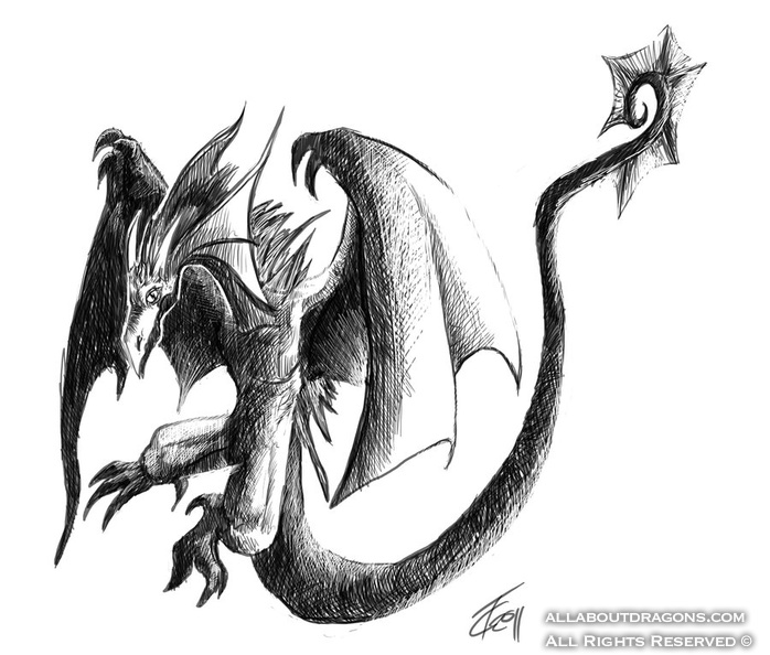 0464-dragon+flying-dragon_by_tcochu-d38nrg3.jpg