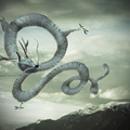 2011-dragons+flying-
