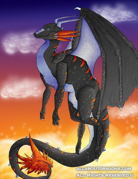 1374-dragon+flying-d