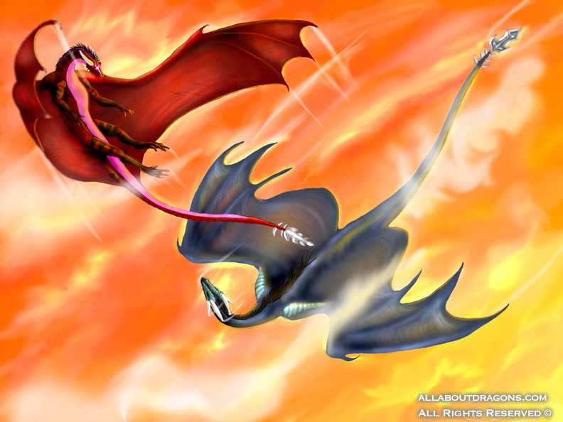 0192-dragons+flying-