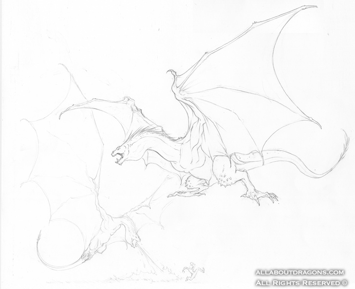 1671-dragon+fire-Dragon_sketches_by_Inkthinker.jpg