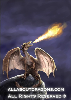 2463-dragon+fire-Fir