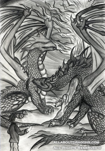 0940-dragon+fire-The_First_Dragon_Meeting_by_victortky.jpg