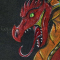 2158-dragon+fire-Fir