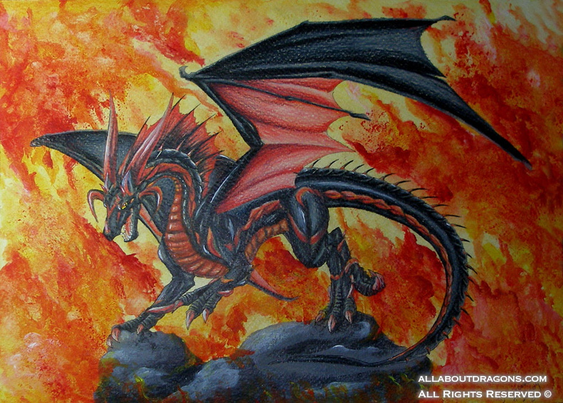 1900-dragon+fire-b63