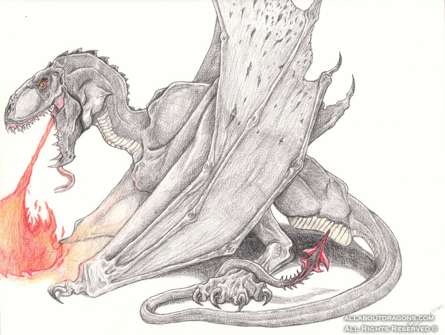 1073-dragon+fire-obs