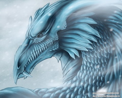 0172-dragon+ice-17aa