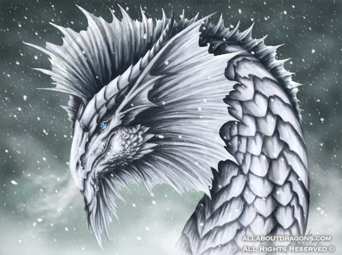 1253-dragon+ice-Wint
