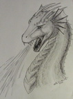 0019-dragon_sketch_b