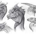 0167-dragon-bustssma