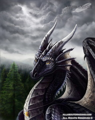 1131-dragon-sad_stor