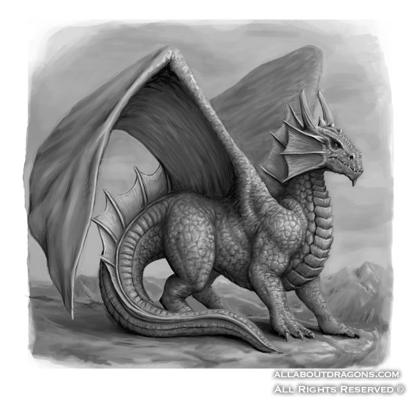 1664-dragon-dragon_2