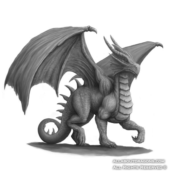 1482-dragon-dragon_4