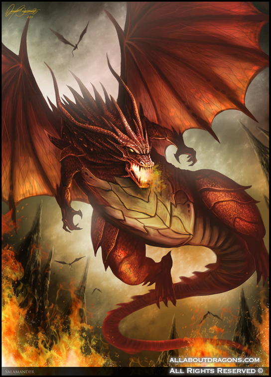 2132-dragon-salamand