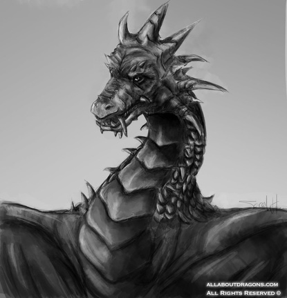 2172-dragon-the_drag