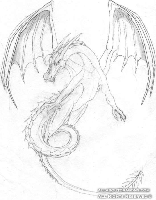 0056-flying_dragon_f