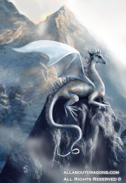 1371-dragon-Wings_of_Dawn_by_Lytayvea.jpg