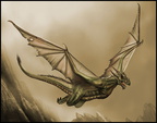 1363-dragon-dragon_c