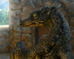 0960-dragon-done__by