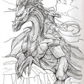 0281-dragons1sm