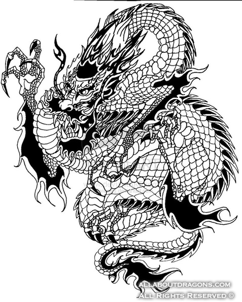 0622-chinese_dragon_by_eviecats.jpg